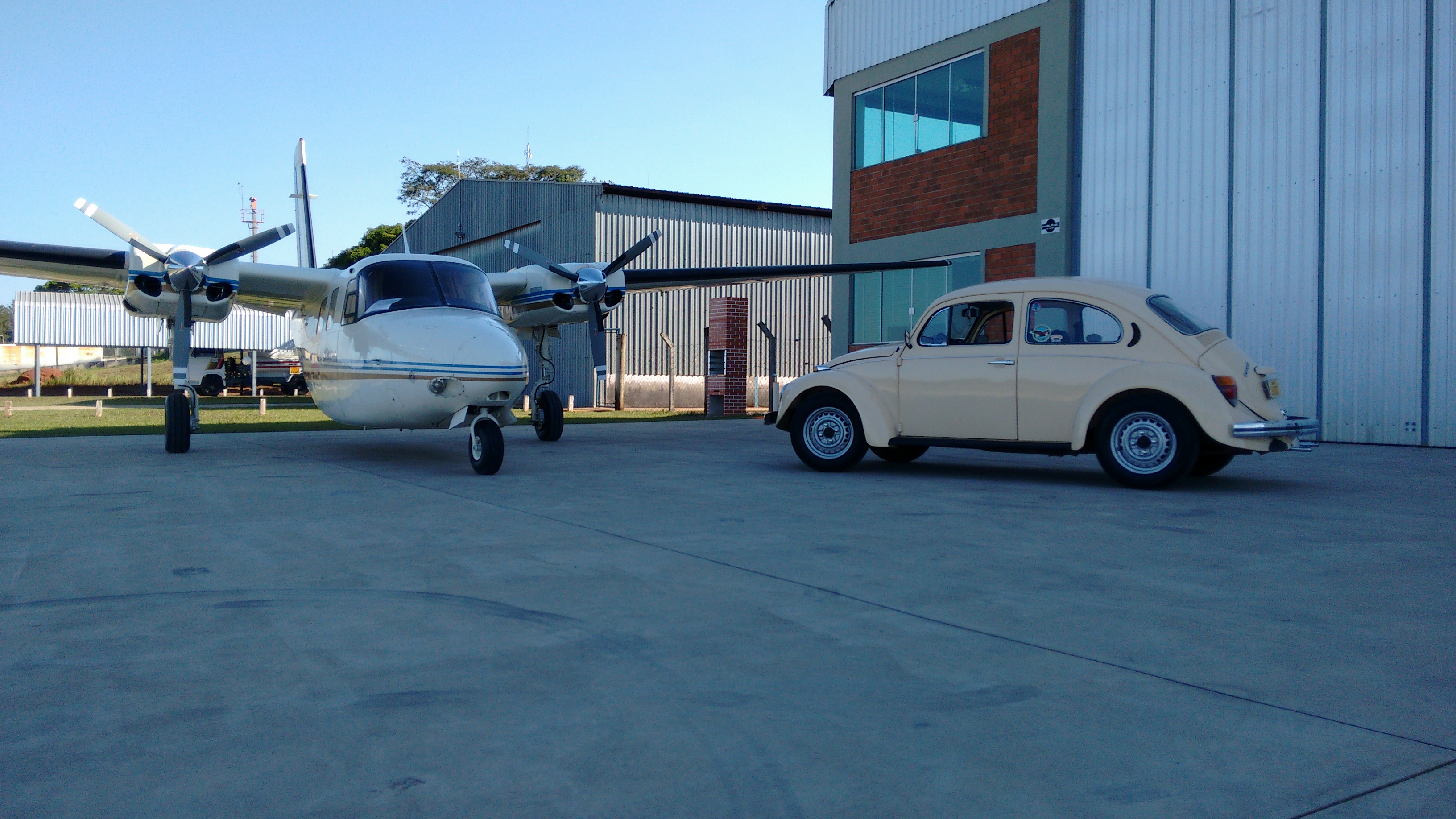 Fuscaviao